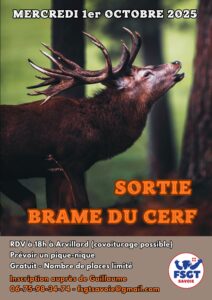 Sortie brame du cerf 2025 - FSGT