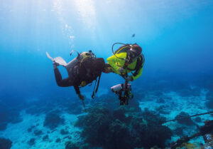 Sous la surface, un véritable encadrement juridique