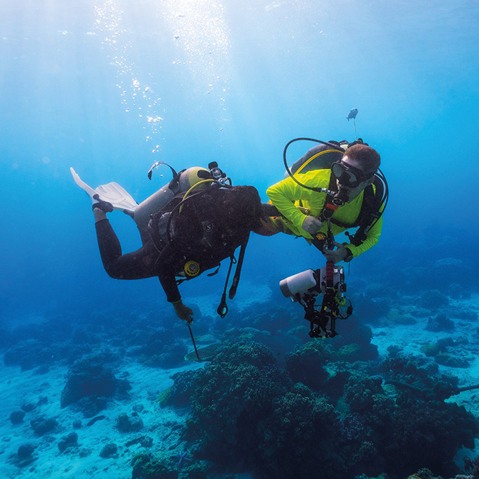 Plongée : sous la surface, un véritable encadrement juridique