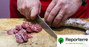 E202, E224, E250... Ces additifs alimentaires aggravent les risques de cancer et de diabète