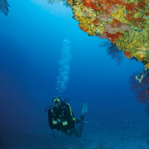 « La plongée FSGT accueille tout le monde »