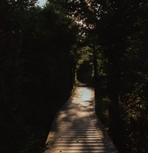 L’ultra performance dans le sport peut-elle servir la transition écologique&nbsp;?