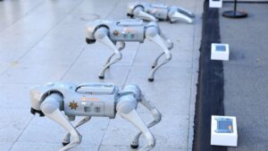 D&eacute;minage, exploration de zones dangereuses&hellip; A quoi servent les chiens-robots qui vont participer &agrave; la s&eacute;curit&eacute; de la Coupe du monde de football&nbsp;2026 au Mexique&nbsp;?