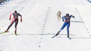 Aux JO d’hiver, un adorable chien-loup s’invite en pleine épreuve de ski de fond