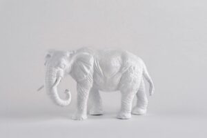 JO Milan-Cortina 2026 et Alpes 2030 : qui sont les « éléphants blancs » ?