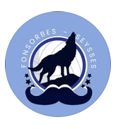 Fonsorbes Seysses Volley Ball