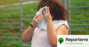 La sédentarité due au réchauffement climatique pourrait causer 500 000 décès prématurés