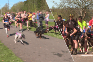 CaniVTT, canirando et même canitrottinette... Le canicross, un sport de plein air "en plein boom comme la course à pied"