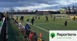 Dans les tribunes du Vermont Green FC, « le club de foot le plus écolo des États-Unis »
