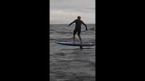 Californie&nbsp;: un surfeur pris en chasse par un requin – franceinfo