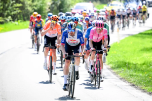 De nombreux cyclistes malades après une course en Belgique, des bouses de vaches en cause