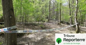 Rubans plastiques : « Ce balisage utile aux sportifs empoisonne la forêt »