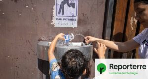 « Arrête de chouiner » : la canicule, une violence de plus faite aux enfants