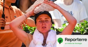 « Vous voulez qu’un joueur meure sur le court ? » De Roland-Garros à l’Open d’Australie, le tennis au défi des canicules