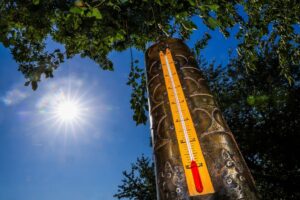 "Si on doit mettre le coureur en danger, on arrête tout"&nbsp;: comment le sport s'adapte à la canicule 