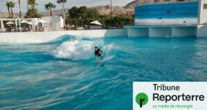 Vagues artificielles : « Sans la mer, le surf n’est plus qu’image et performance »
