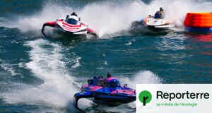À Monaco, une course de bateaux électriques ultrarapides menace les cétacés