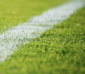 Terrains sportifs&nbsp;: une dérogation temporaire encadre encore l’usage de produits phytopharmaceutiques - Décideurs du Sport par Patrick Bayeux