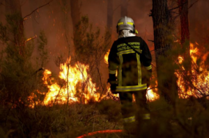 Appel au volontariat, collectes pour les sinistrés, entraînements « au second plan »&nbsp;: les clubs du Sud-Ouest face aux feux monstrueux qui ravagent la région
