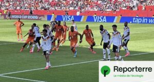 Jusqu’à 46 °C ressentis : la Coupe du monde en alerte canicule