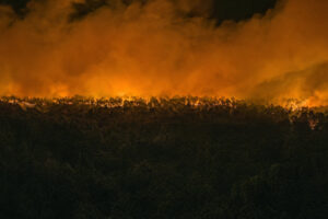 Bleau Meteo&nbsp;: « Ça faisait des semaines que j'indiquais un risque de feu extrême sur la forêt »