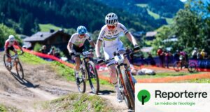 « Pour eux, ici, c’est Disneyland » : des bergers s’opposent au VTT en montagne