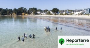 Des quartiers populaires privés de plage dans le Finistère