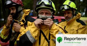« On a signé pour aller au charbon, pas à l’échafaud » : les pompiers asphyxiés par les fumées des incendies