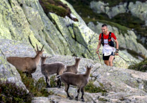 Animaux dérangés, fleurs piétinées, érosion accélérée&nbsp;: le trail est-il devenu l'ennemi de la nature&nbsp;?