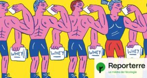 Musculation : la poudre protéinée, un business néfaste à l’écologie