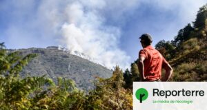 Le gouvernement sabre dans les effectifs de l’écologie malgré cet été de chaos