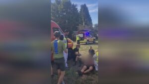 Une quarantaine de cyclistes ont &eacute;t&eacute; attaqu&eacute;s par des frelons – franceinfo