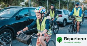 Fini le tout-bagnole : ces parents ont créé un vélobus pour aller à l’école