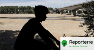 « Un problème de santé publique » : 15 millions de Français écoanxieux, selon un baromètre