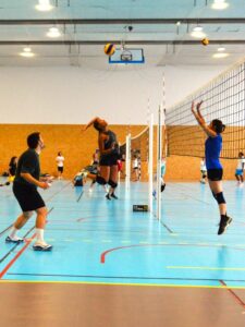  Webinaire - Impact de la mixité dans le sport - FSGT75 